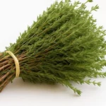 Southern Fried Salmon Patties