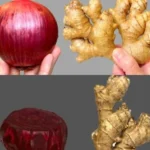 CRISPY CHICKEN STRIPS