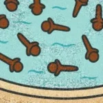 Best Grilled Cheese Sandwich