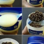 That Gross Yellow Ring? Here’s How I Actually Got Rid of Toilet Stains