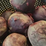 Better Than Sex Fruit Salad