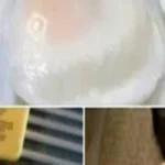 Weight Watchers-Friendly Mousse