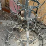 Outback Steakhouse Alice Springs Chicken