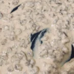 Sweet Alabama Pecan Bread: The Humble Loaf That Tastes Like Home