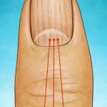 Sticky Asian-Style Honey Garlic Chicken