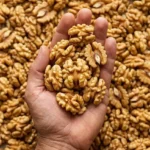 Myth vs Fact: Brain Aneurysms — What People Get Wrong (And the Science That Sets the Record Straight)